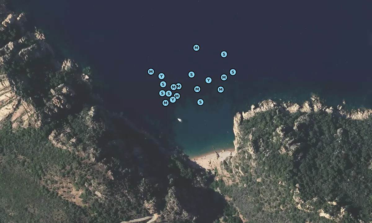 Satelite image of Plage de Ficajola