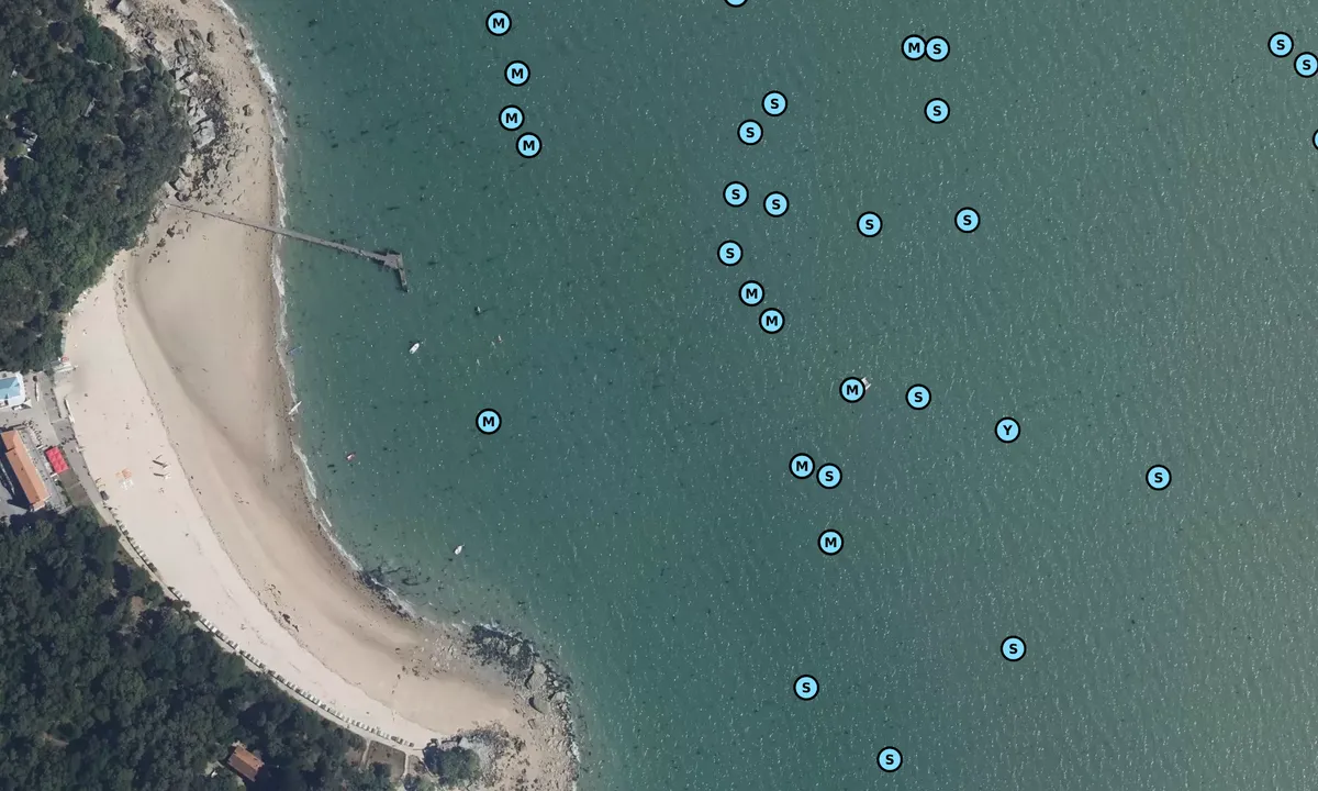 Satelite image of Plage des Dames