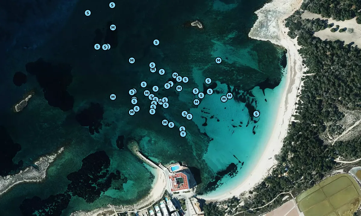 Satelite image of Platja d'es Molí de s'estany