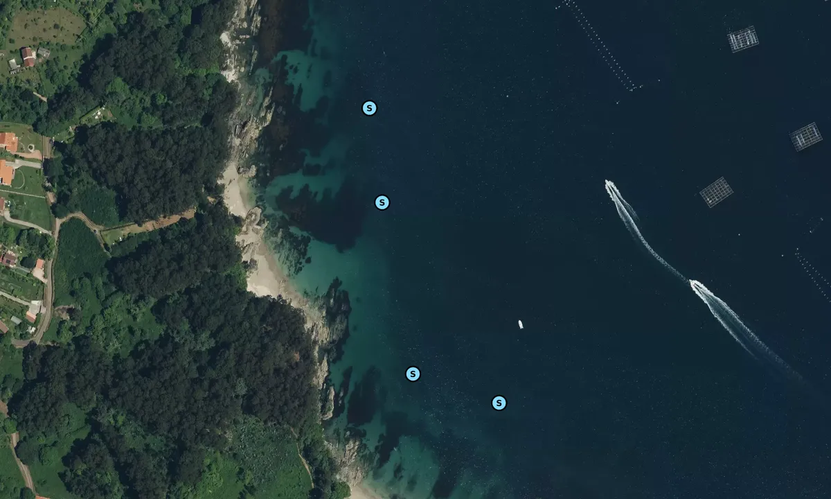 Satelite image of Playa arnela