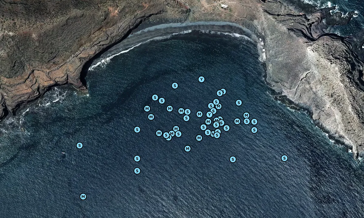 Satelite image of Playa de Antequera