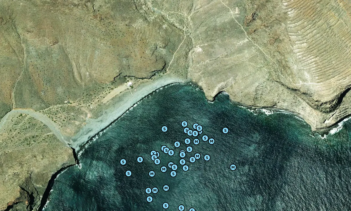 Satelite image of Playa de la Guancha