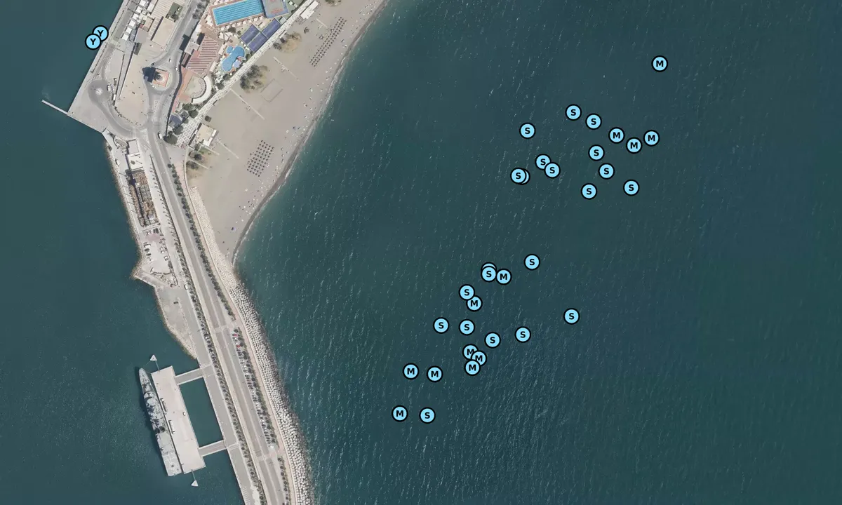 Satelite image of Playa la Malagueta