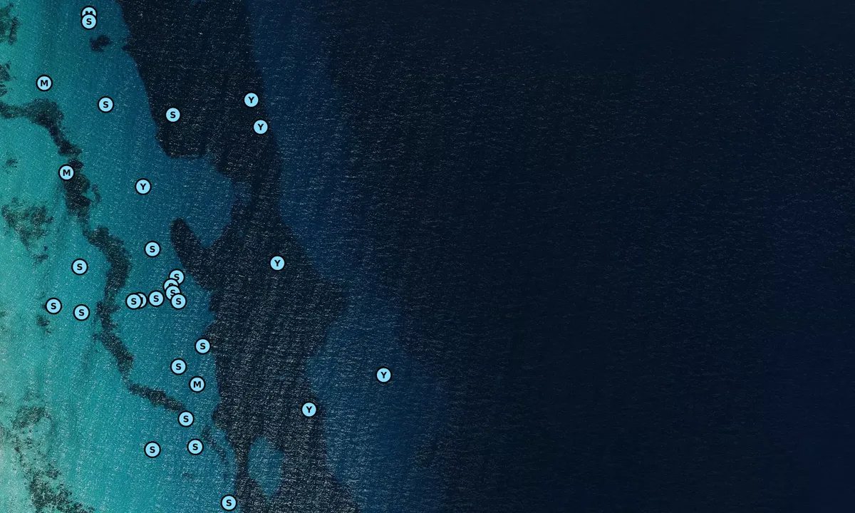 Satelite image of Playa Levante