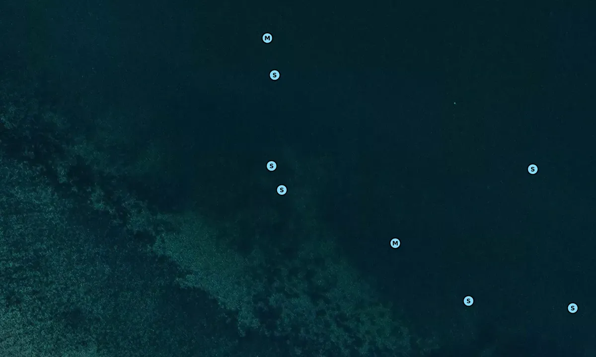 Satelite image of Pleasant Island Cove