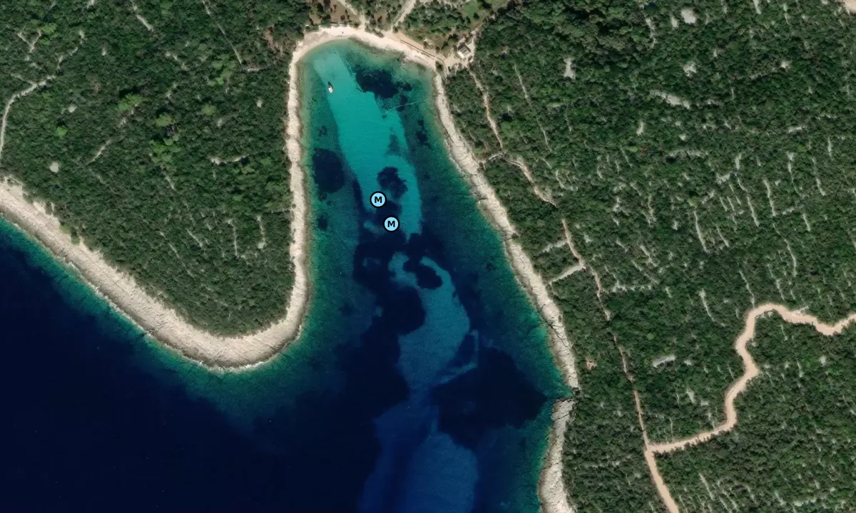 Satelite image of Plieski