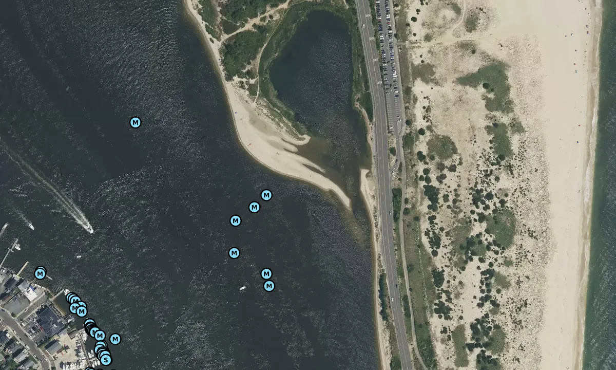 Satelite image of Plum Island Mini-Bite
