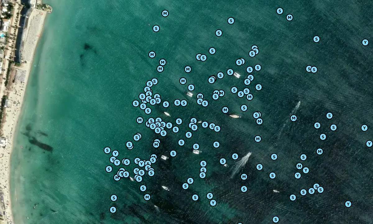 Satelite image of Poetto 1