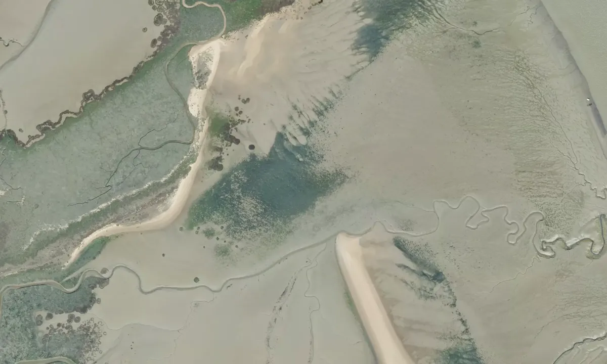 Flyfoto av Pointe d'Arçay
