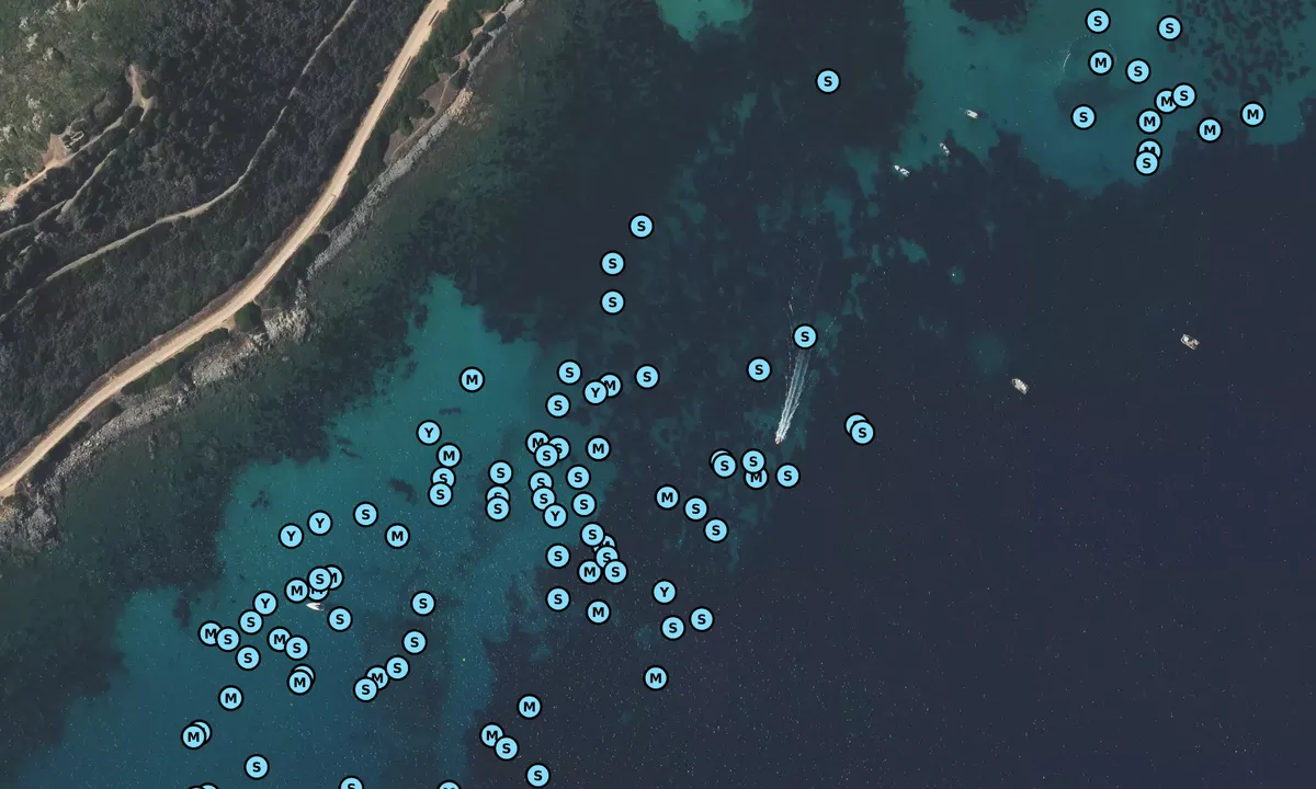 Satelite image of Pointe de la Parata