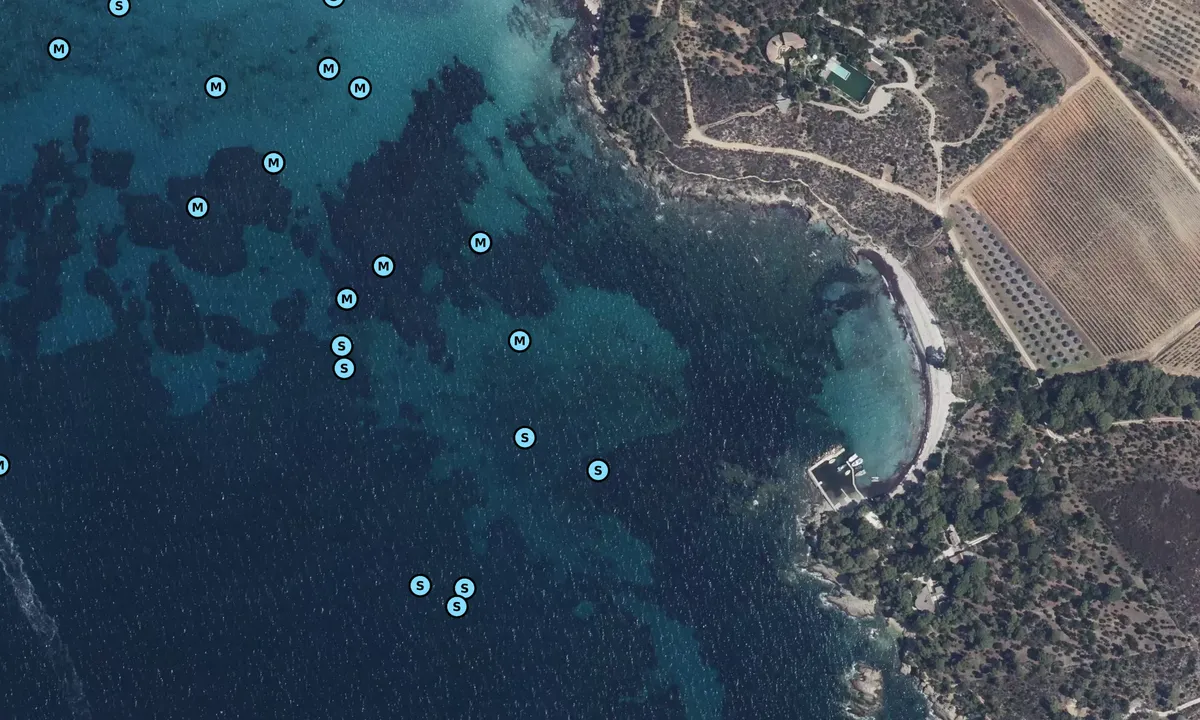 Satelite image of Pointe de la Vignasse