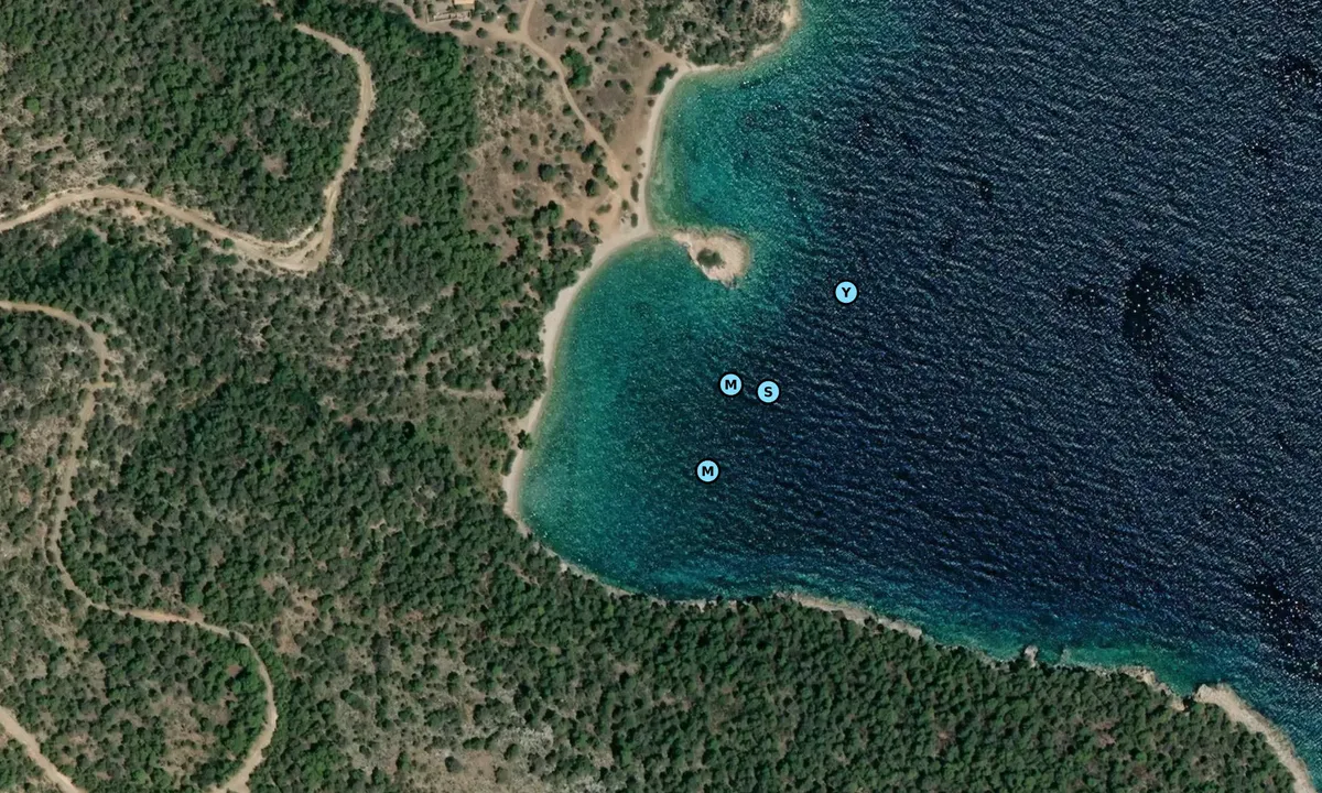Satelite image of Polemarcha beach
