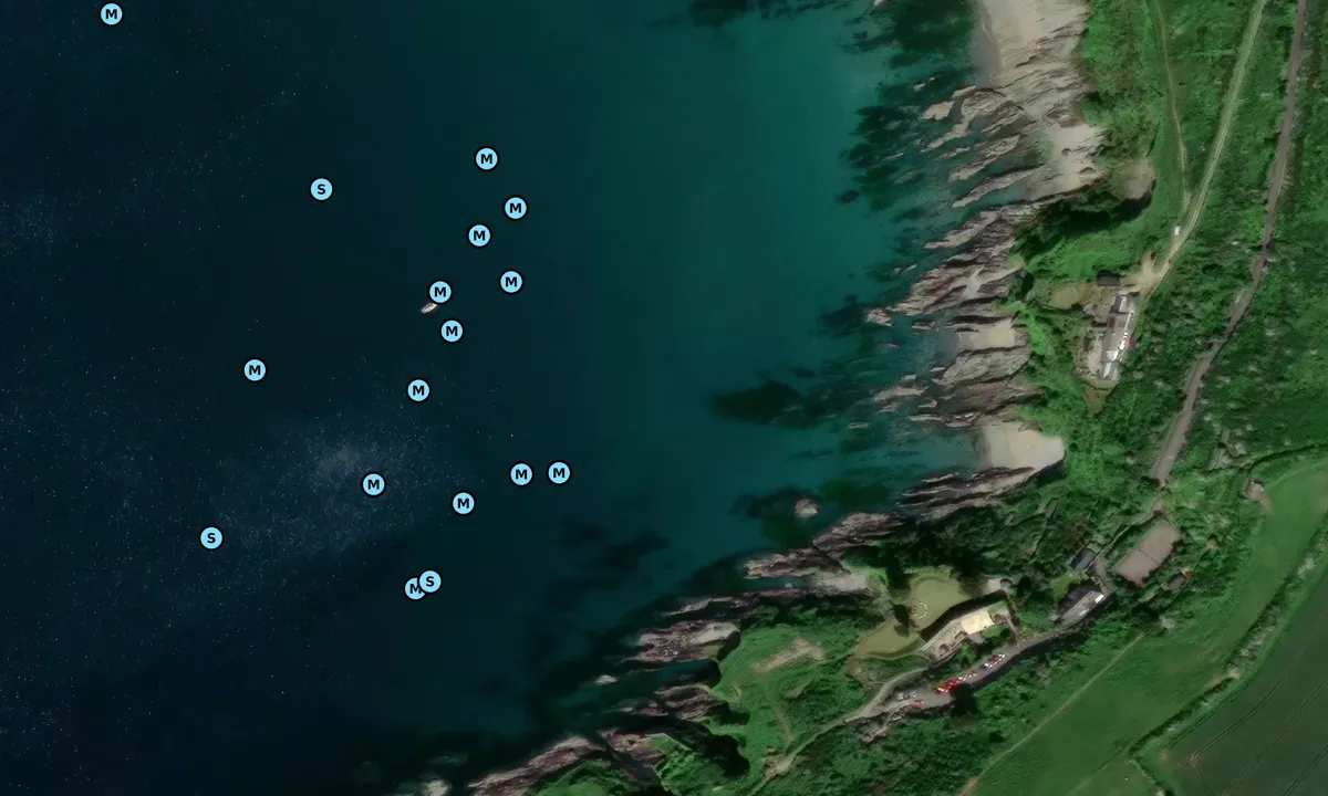 Satelite image of Polhawn Cove