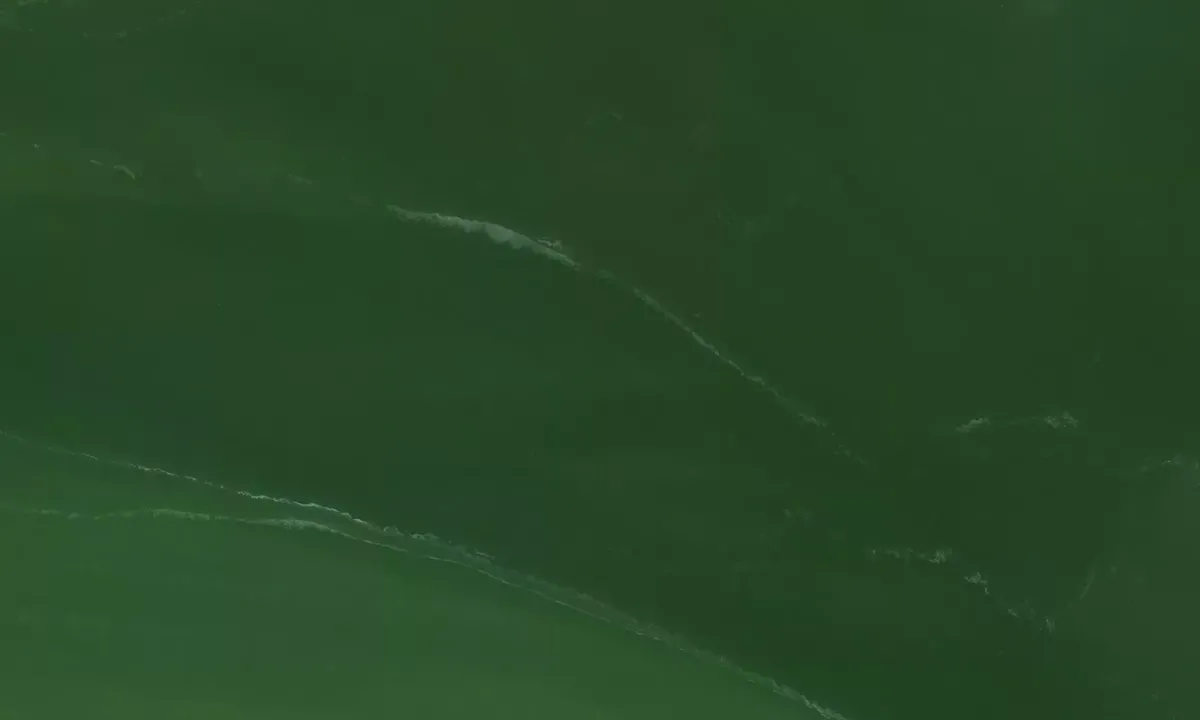 Satelite image of Ponce Bay