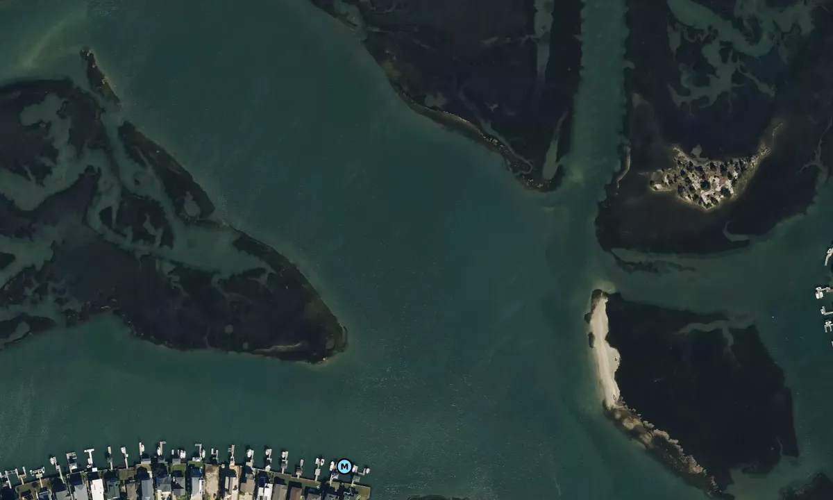 Satelite image of Pond North of Lee's Cut