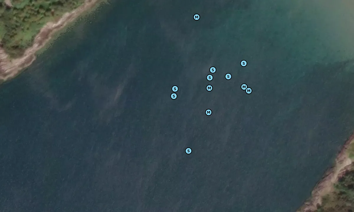 Satelite image of Port Appin