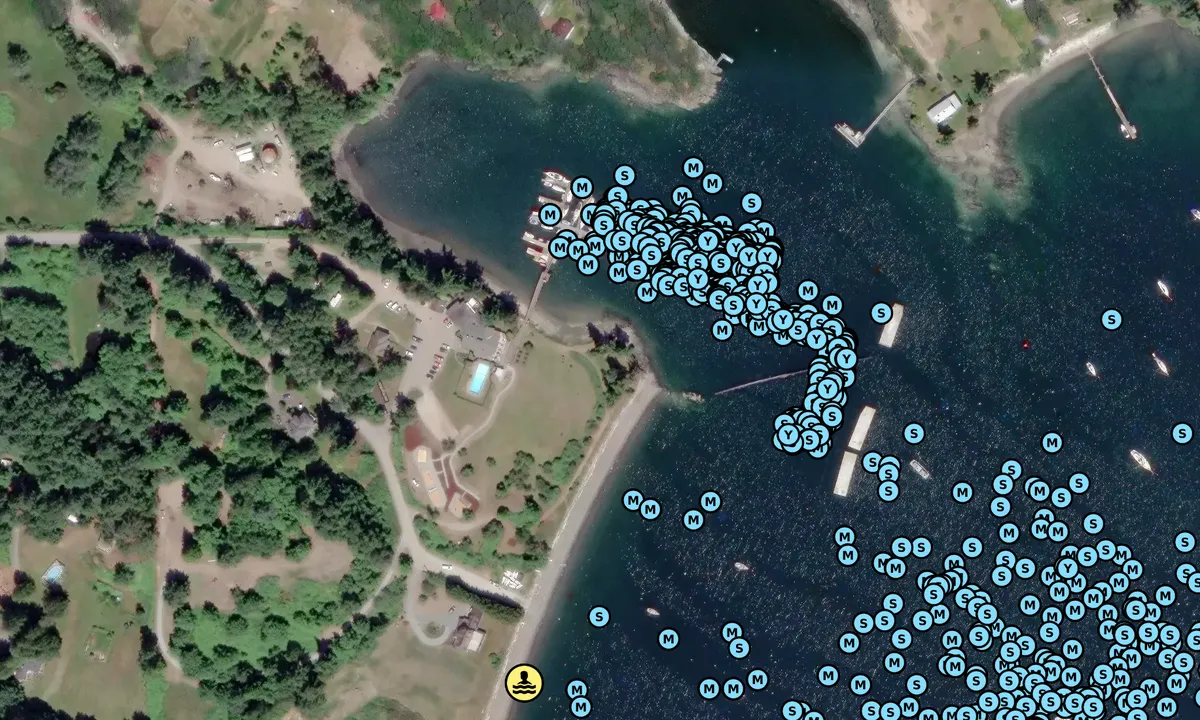 Satelite image of Port Browning Marina