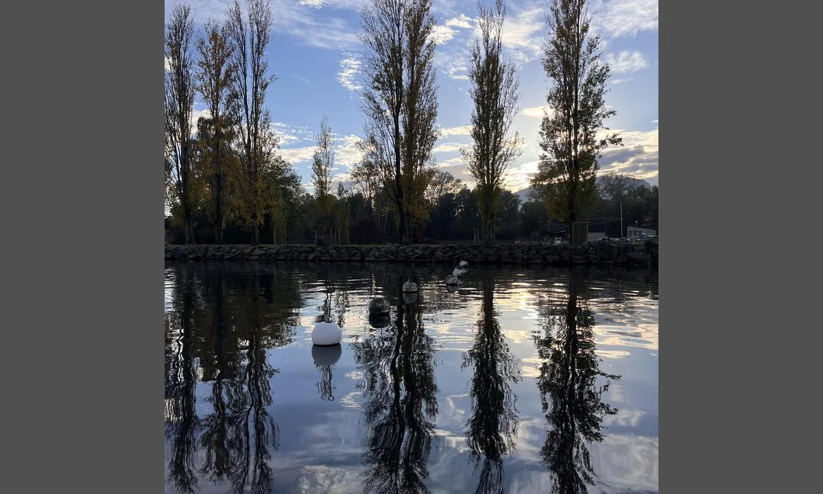 Port d'Auvernier: {"base": "en", "no": "B\u00f8yer for fort\u00f8yning mot kai", "se": "Bojar f\u00f6r f\u00f6rt\u00f6jning mot kaj", "en": "Buoys for mooring towards quai", "da": "B\u00f8jer til fort\u00f8jning mod kaj", "fr": "Bou\u00e9es pour amarrage vers le quai", "de": "Boien zum Anlegen am Quai", "es": "Boyas para amarre hacia el muelle", "it": "Bo\u00e8 per l'ormeggio verso il molo", "pt": "B\u00f3ias para amarra\u00e7\u00e3o em dire\u00e7\u00e3o ao cais", "nl": "boeien voor afmeren richting kade", "pl": "Bojki do cumowania w kierunku nabrze\u017ca", "uk": "\u0411\u0443\u0439\u043a\u0438 \u0434\u043b\u044f \u0448\u0432\u0430\u0440\u0442\u0443\u0432\u0430\u043d\u043d\u044f \u0434\u043e \u043f\u0440\u0438\u0447\u0430\u043b\u0443", "ro": "Balize pentru acostare spre cheu", "tr": "\u0130skeleye do\u011fru ba\u011flanmak i\u00e7in \u015famand\u0131ralar", "el": "\u03a3\u03b7\u03bc\u03b1\u03b4\u03bf\u03cd\u03c1\u03b5\u03c2 \u03b3\u03b9\u03b1 \u03c0\u03c1\u03cc\u03c3\u03b4\u03b5\u03c3\u03b7 \u03c0\u03c1\u03bf\u03c2 \u03c4\u03b7\u03bd \u03b1\u03c0\u03bf\u03b2\u03ac\u03b8\u03c1\u03b1", "cs": "B\u00f3je pro kotven\u00ed sm\u011brem k n\u00e1b\u0159e\u017e\u00ed", "hu": "Horgonyz\u00f3 b\u00f3j\u00e1k a rakpart fel\u00e9", "fi": "Poijut kiinnittymiseen laituriin p\u00e4in", "bg": "\u041f\u043b\u0430\u0432\u0430\u0449\u0438 \u0431\u0443\u0439\u043e\u0432\u0435 \u0437\u0430 \u0448\u0432\u0430\u0440\u0442\u043e\u0432\u0430\u043d\u0435 \u043a\u044a\u043c \u043a\u0435\u044f", "sr": "Bove za privezivanje uz kej", "et": "Poid kai \u00e4\u00e4rde sildumiseks", "lv": "Bojas piest\u0101tnei pie piest\u0101tnes", "lt": "Pl\u016bdurai laivui prisi\u0161vartuoti prie krantin\u0117s"}