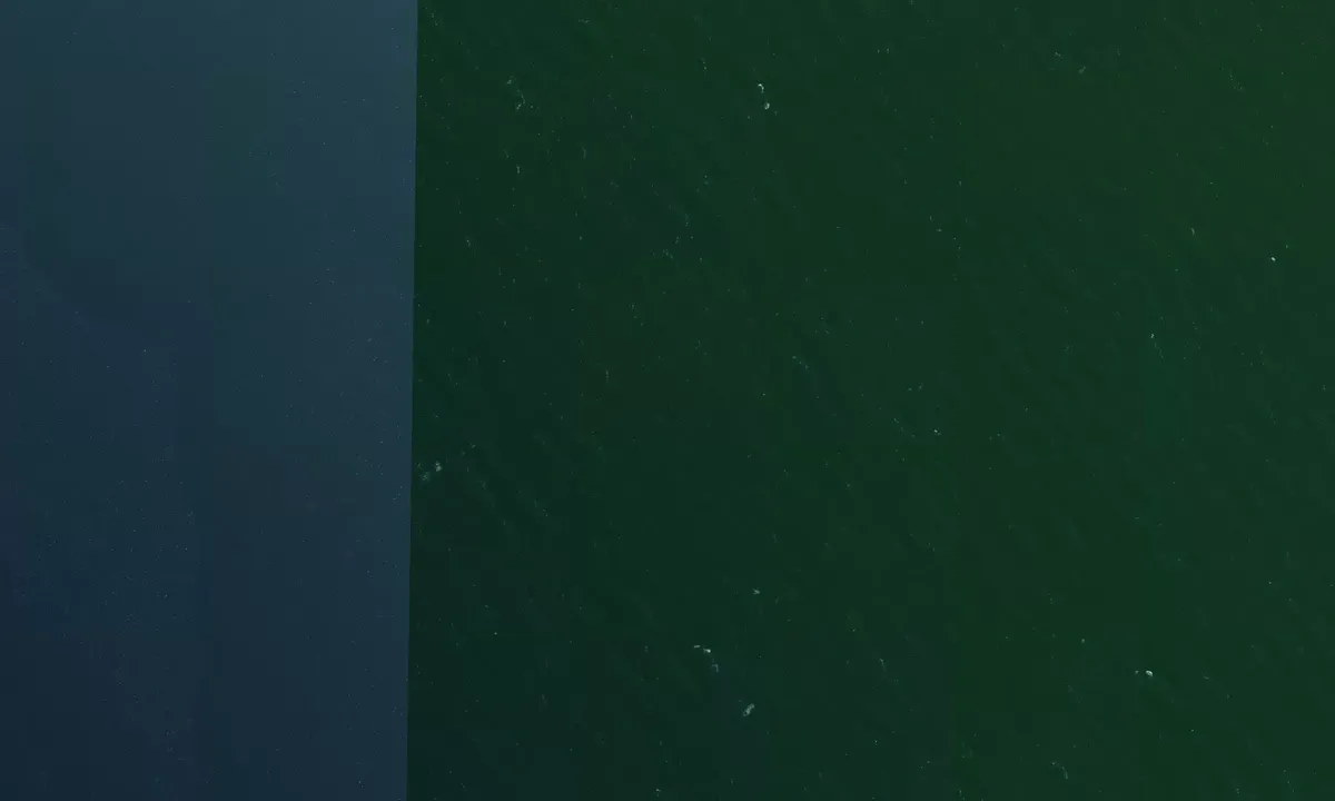 Satelite image of Port De L 'Espiguette/Port Camargue
