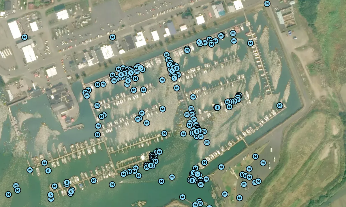 Satelite image of Port of Ilwaco - Pacific