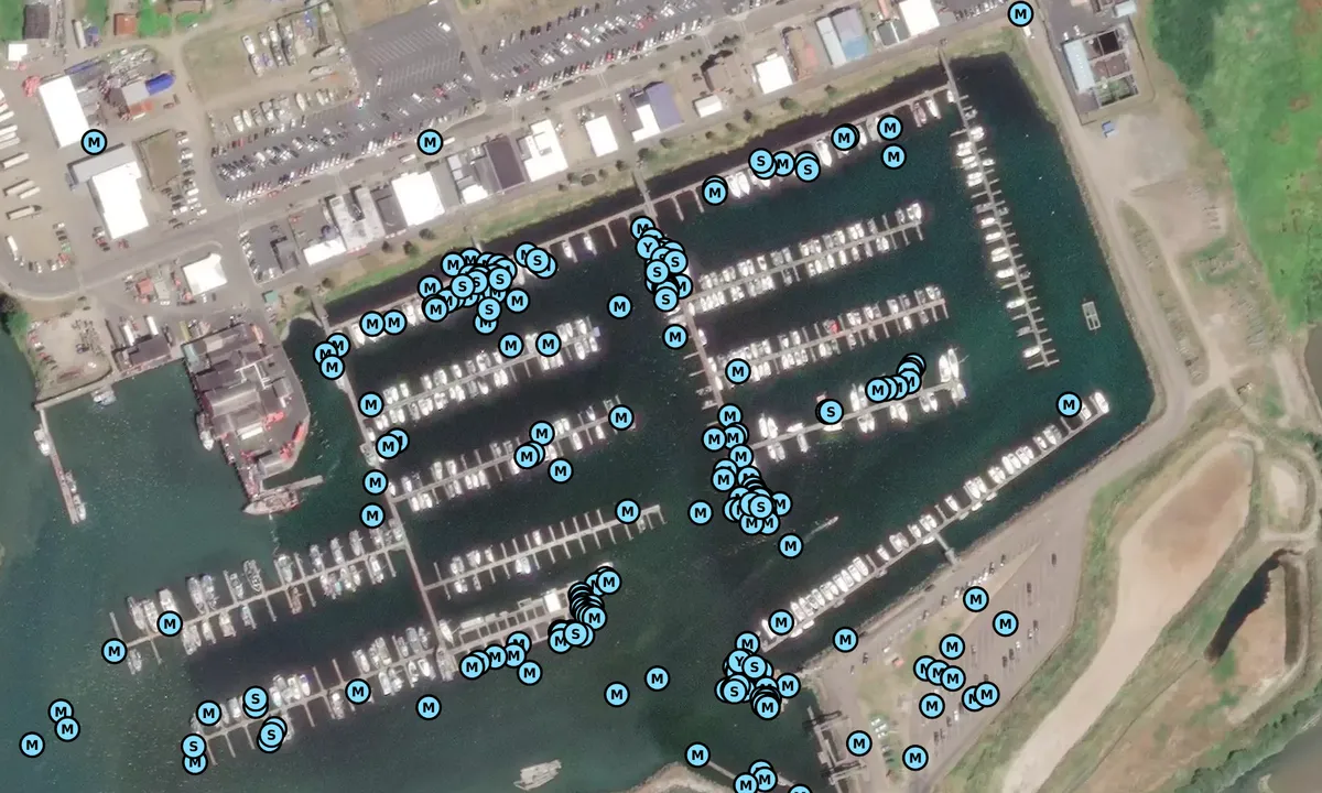 Satelite image of Port of Ilwaco - Pacific