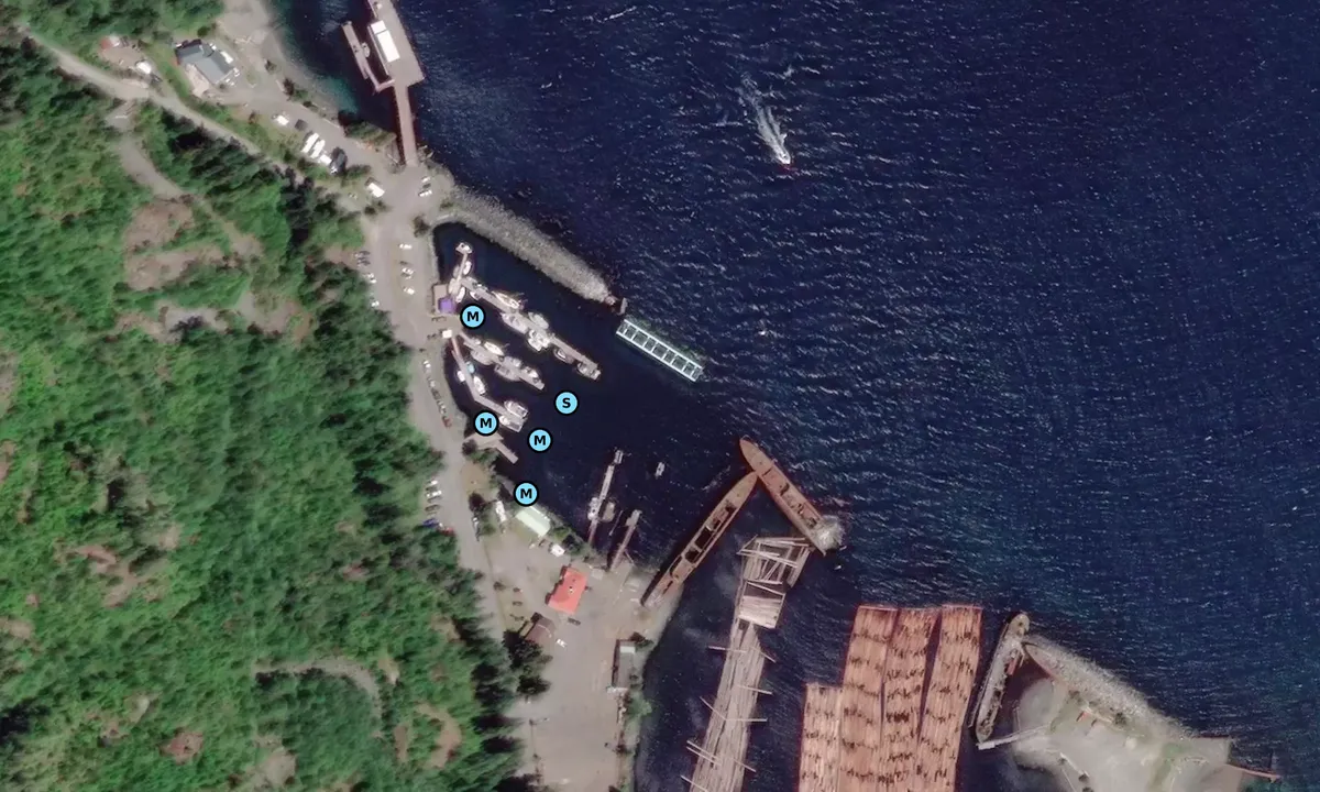 Satelite image of Port of Kelsey Bay