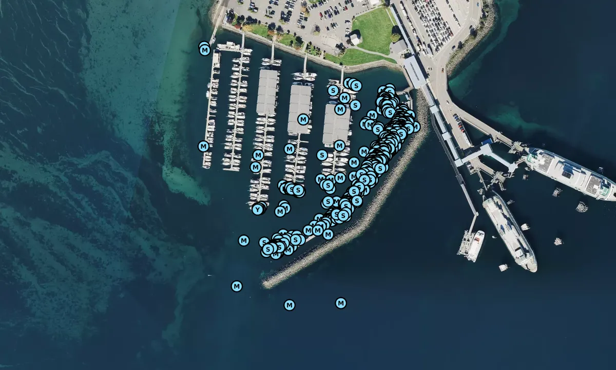 Satelite image of Port of Kingston