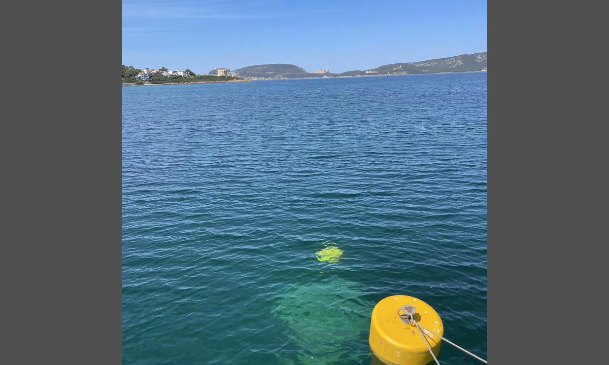 Porto Conte Torre Nuova: {"base": "en", "no": "V\u00e5r fort\u00f8yningsb\u00f8ye. Betongblokk p\u00e5 4,5 - 5 meters dybde", "se": "V\u00e5r f\u00f6rt\u00f6jningsboj. Betongblock p\u00e5 4,5 - 5 meters djup", "en": "Our mooring buoy. Concrete block at 4,5 - 5 meters depth", "da": "Vores fort\u00f8jningsb\u00f8je. Betonblok p\u00e5 4,5 - 5 meters dybde", "fr": "Notre bou\u00e9e d'amarrage. Bloc de b\u00e9ton \u00e0 une profondeur de 4,5 - 5 m\u00e8tres", "de": "Unsere Mooringboje. Betonblock in 4,5 - 5 Metern Tiefe", "es": "Nuestro boyar\u00edn de amarre. Bloque de concreto a una profundidad de 4,5 - 5 metros", "it": "La nostra boa di ormeggio. Blocco di cemento a 4,5 - 5 metri di profondit\u00e0", "pt": "Nosso poita de amarra\u00e7\u00e3o. Bloco de concreto a 4,5 - 5 metros de profundidade", "nl": "Onze aanlegboei. Betonblok op 4,5 - 5 meter diepte", "pl": "Nasza boja cumownicza. Blok betonowy na g\u0142\u0119boko\u015bci 4,5 - 5 metr\u00f3w", "uk": "\u041d\u0430\u0448 \u043f\u0440\u0438\u0447\u0430\u043b\u044c\u043d\u0438\u0439 \u0431\u0443\u0439. \u0411\u0435\u0442\u043e\u043d\u043d\u0438\u0439 \u0431\u043b\u043e\u043a \u043d\u0430 \u0433\u043b\u0438\u0431\u0438\u043d\u0456 4,5 - 5 \u043c\u0435\u0442\u0440\u0456\u0432", "ro": "Baliz\u0103 de andocare. Bloc de beton la o ad\u00e2ncime de 4,5 - 5 metri", "tr": "Tonoz \u015famand\u0131ram\u0131z. 4,5 - 5 metre derinlikte beton blok", "el": "\u0397 \u03c3\u03b7\u03bc\u03b1\u03b4\u03bf\u03cd\u03c1\u03b1 \u03c0\u03c1\u03cc\u03c3\u03b4\u03b5\u03c3\u03ae\u03c2 \u03bc\u03b1\u03c2. \u03a3\u03ba\u03c5\u03c1\u03cc\u03b4\u03b5\u03bc\u03b1 \u03bc\u03c0\u03bb\u03bf\u03ba \u03c3\u03b5 \u03b2\u03ac\u03b8\u03bf\u03c2 4,5 - 5 \u03bc\u03ad\u03c4\u03c1\u03b1", "cs": "Na\u0161e kotevn\u00ed b\u00f3je. Betonov\u00fd blok v hloubce 4,5 - 5 metr\u016f", "hu": "A mi kik\u00f6t\u0151b\u00f3j\u00e1nk. Betont\u00f6mb 4,5 - 5 m\u00e9ter m\u00e9lys\u00e9gben", "fi": "Meid\u00e4n poijumme. Betonilohkareen syvyys 4,5 - 5 metri\u00e4", "bg": "\u041d\u0430\u0448\u0438\u044f\u0442 \u0448\u0432\u0430\u0440\u0442\u043e\u0432\u0435\u043d \u0431\u0443\u0439. \u0411\u0435\u0442\u043e\u043d\u0435\u043d \u0431\u043b\u043e\u043a \u043d\u0430 \u0434\u044a\u043b\u0431\u043e\u0447\u0438\u043d\u0430 4,5 - 5 \u043c\u0435\u0442\u0440\u0430", "sr": "Na\u0161a bova za privez. Betonski blok na dubini od 4,5 - 5 metara", "et": "Meie poipoomine. Betoonblokk 4,5 - 5 meetri s\u00fcgavusel", "lv": "M\u016bsu enkurbovs. Betona bloks 4,5 - 5 metru dzi\u013cum\u0101", "lt": "M\u016bs\u0173 \u0161vartavimosi pl\u016bduras. Betono blokas 4,5 - 5 metr\u0173 gylyje"}