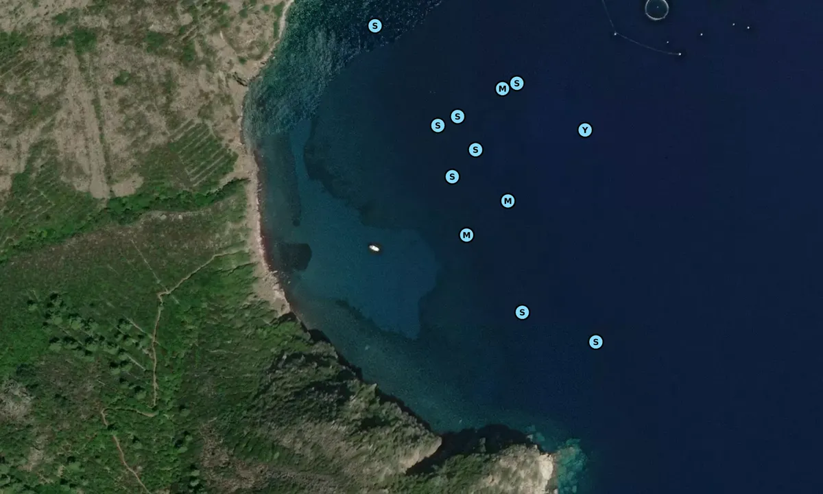 Satelite image of Porto Vecchio