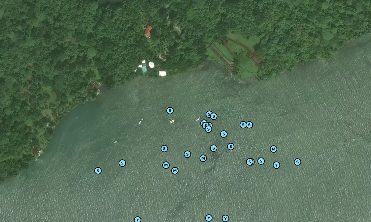 Satelite image of Portobello N