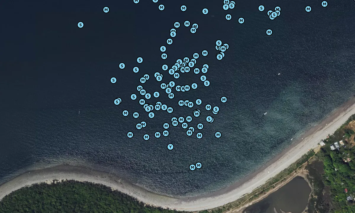 Satelite image of Portuguese Cove