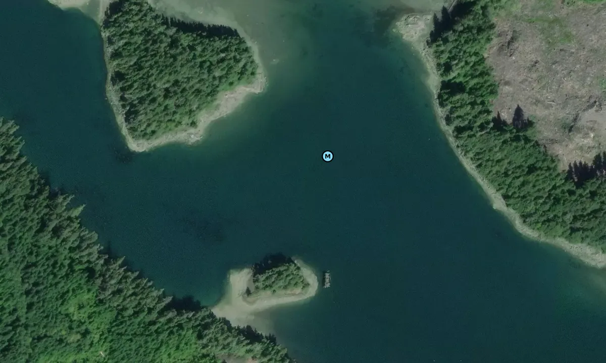 Satelite image of Potts Lagoon