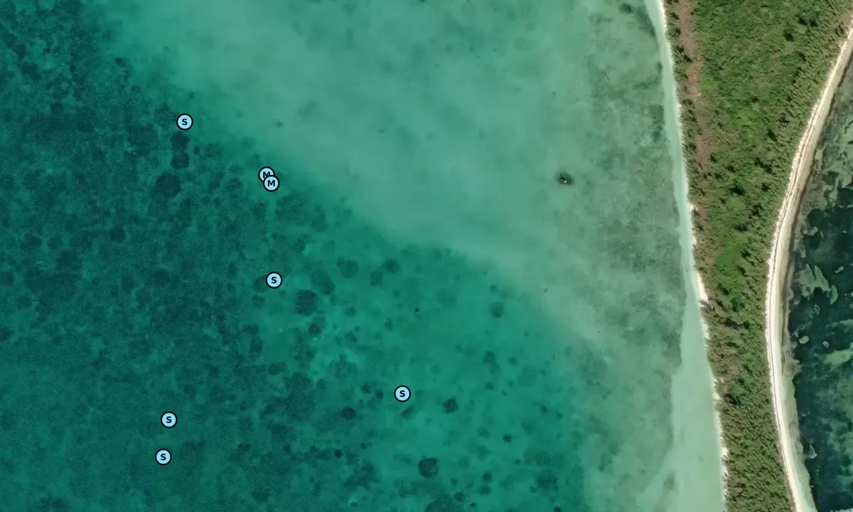 Satelite image of Powell Cay Mid