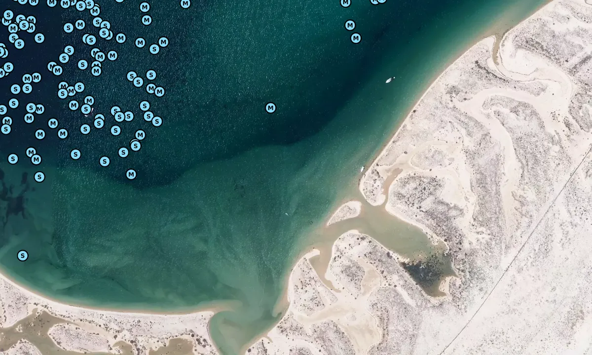 Satelite image of Praia da Culatra