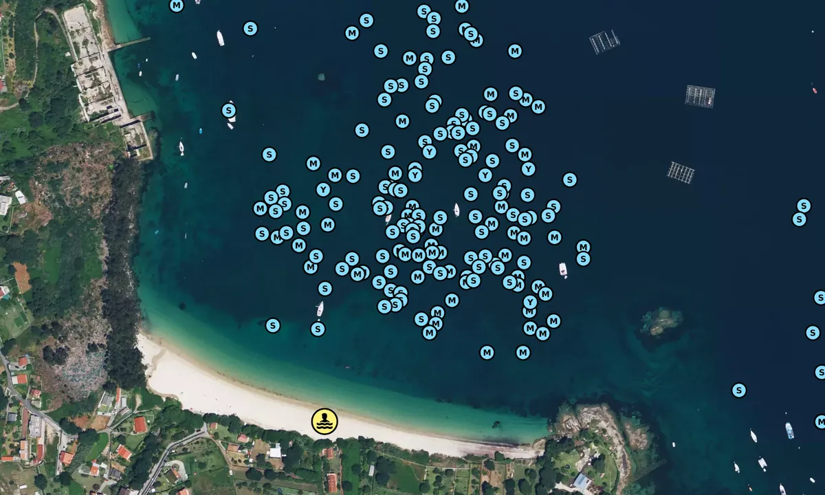 Satelite image of Praia de Arneles