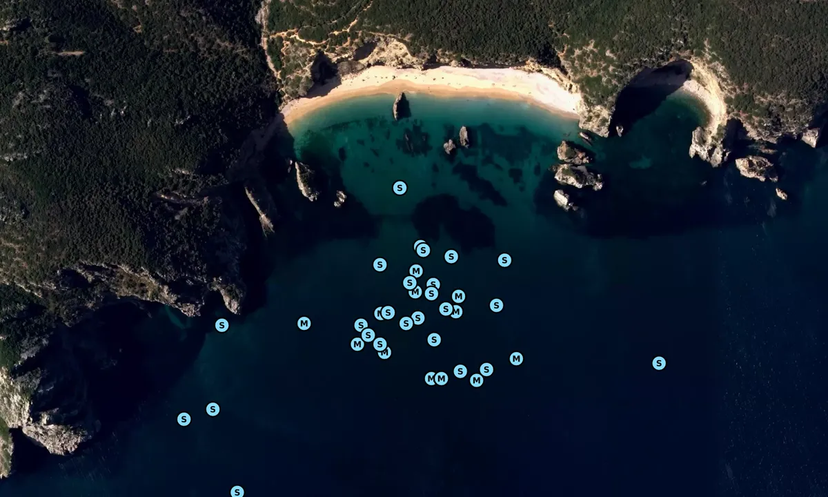 Satelite image of Praia do Ribeiro do Cavalo