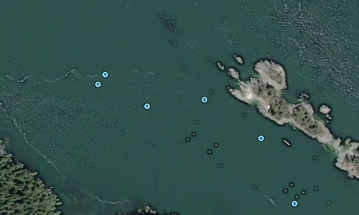 Satelite image of Prevost Island - Charles Rocks