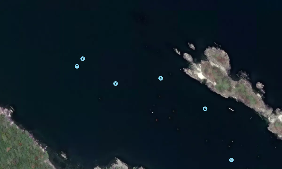 Satelite image of Prevost Island - Charles Rocks