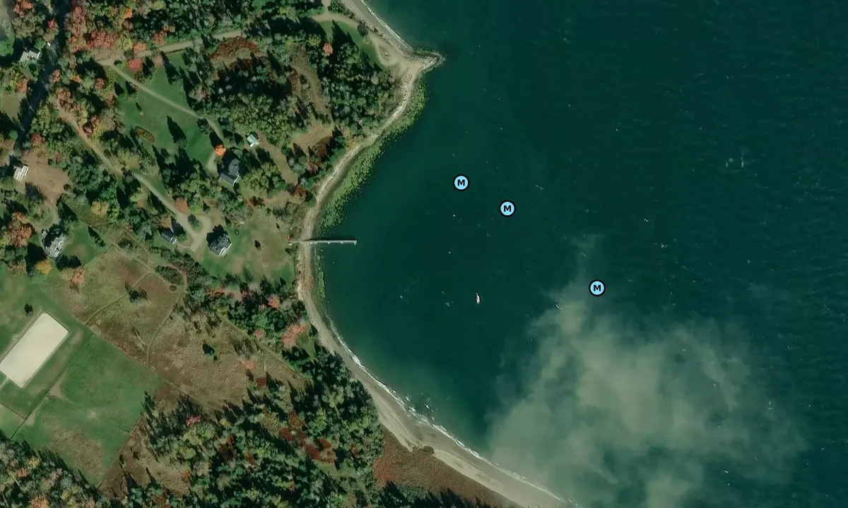 Satelite image of Priscilla's Cove