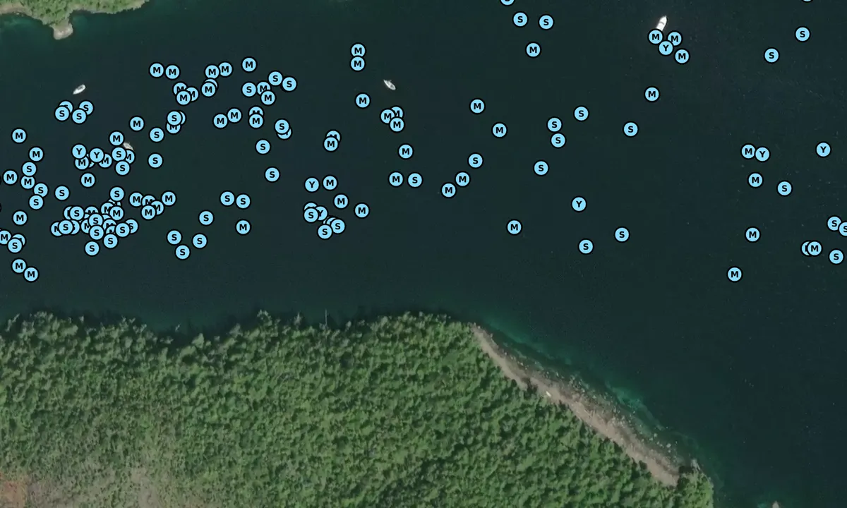 Satelite image of Pruth Bay
