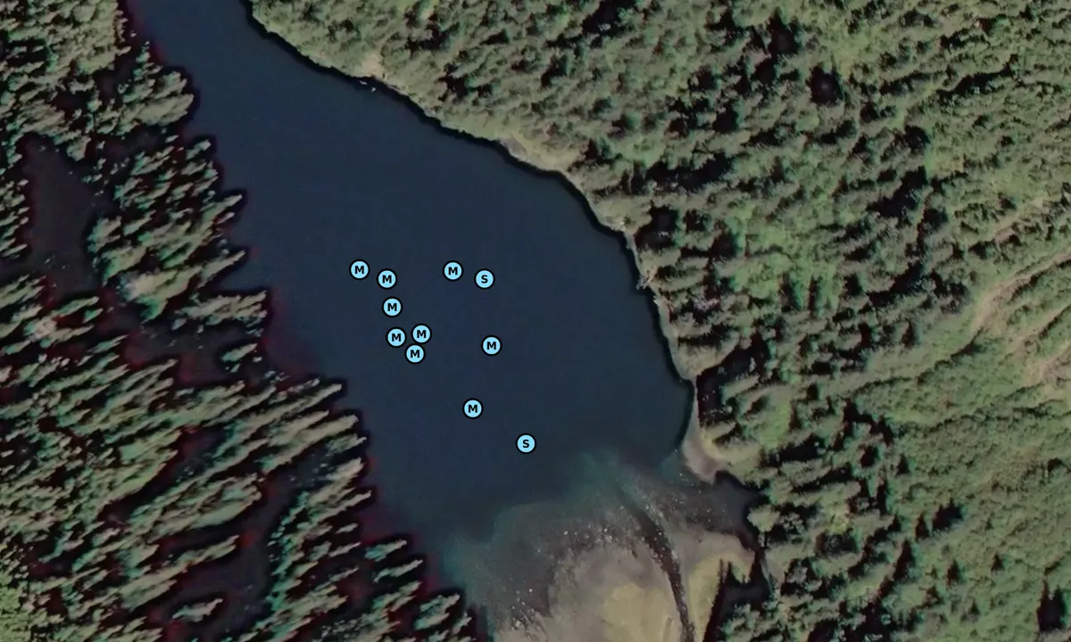 Satelite image of Puffin Bay