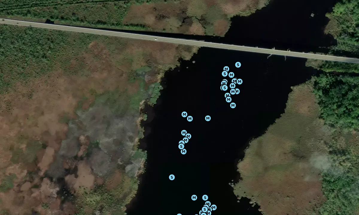 Satelite image of Pungo Ferry
