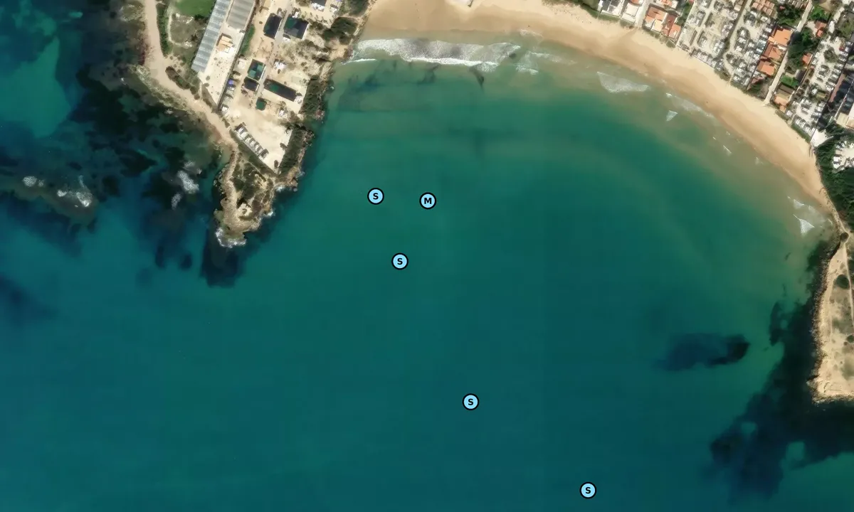 Satelite image of Punta Braccetto