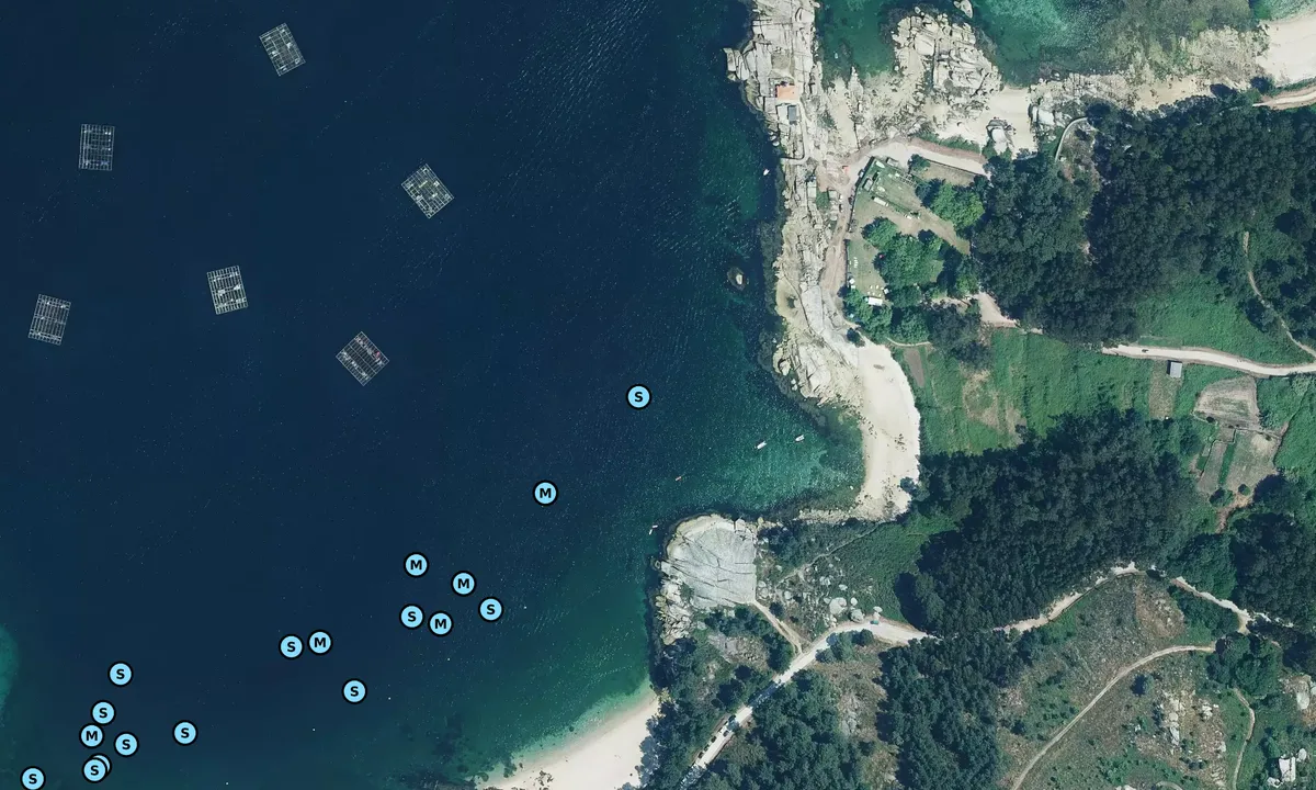 Satelite image of Punta Caballo