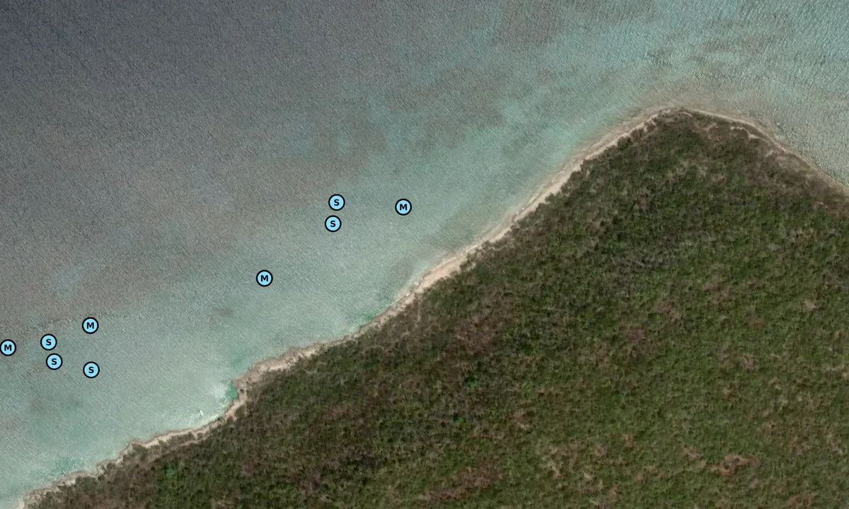 Satelite image of Punta Carrucho