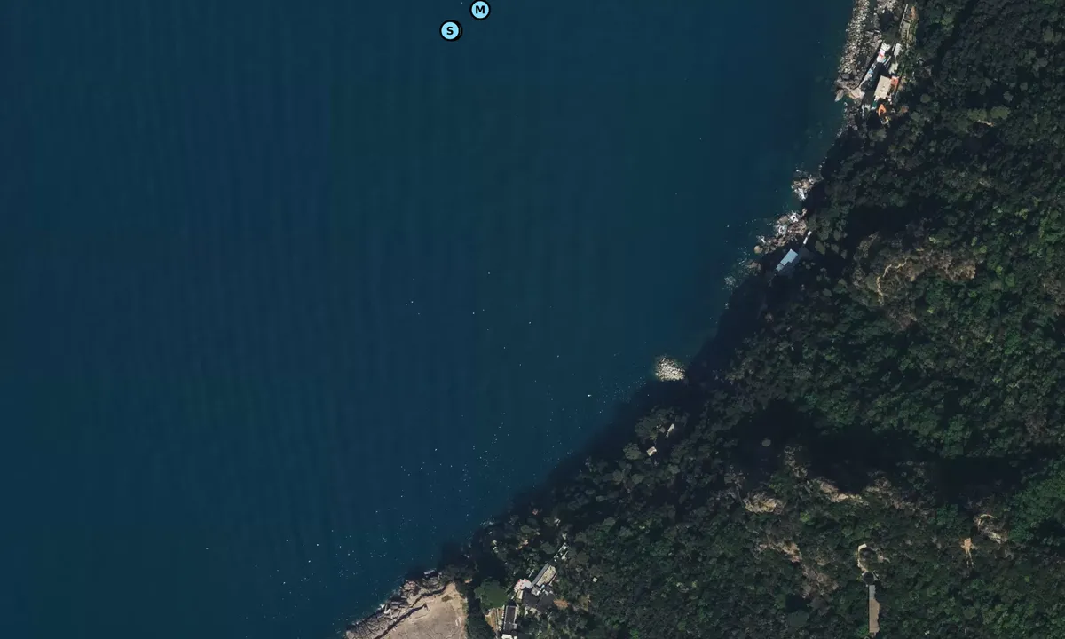 Satelite image of Punta Chiappa