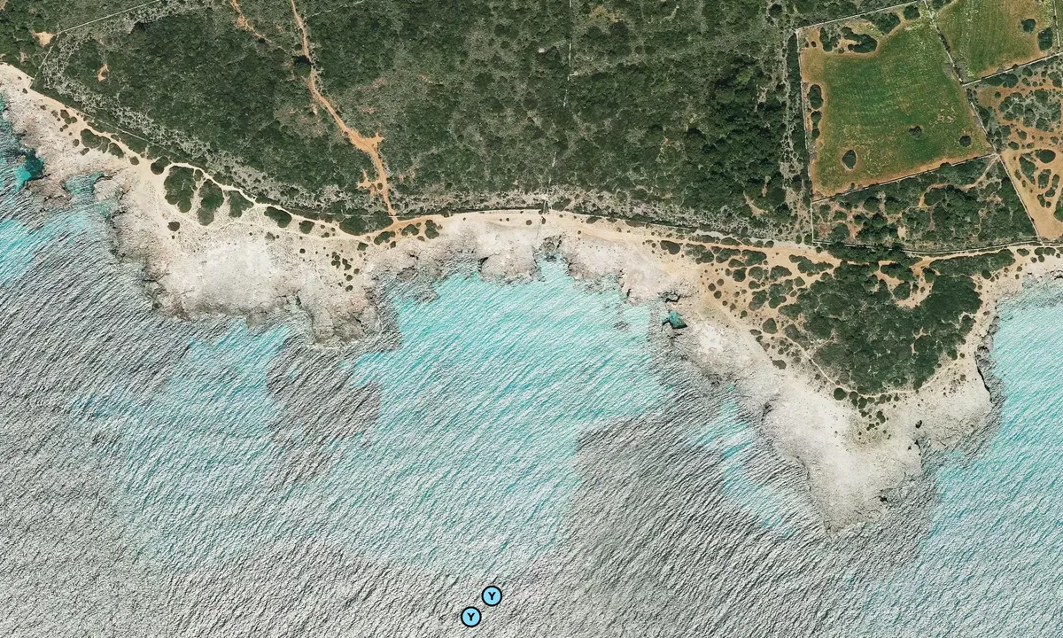 Satelite image of Punta de l'Alzina Dolça