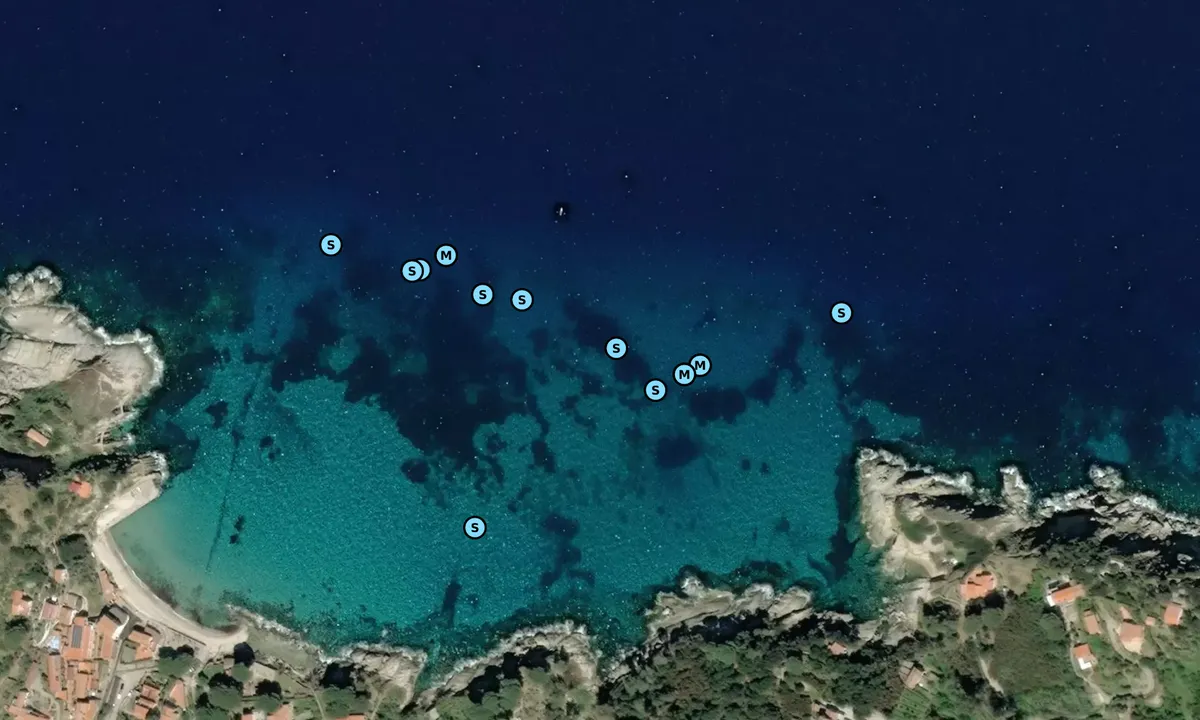 Satelite image of Punta del Cotoncello