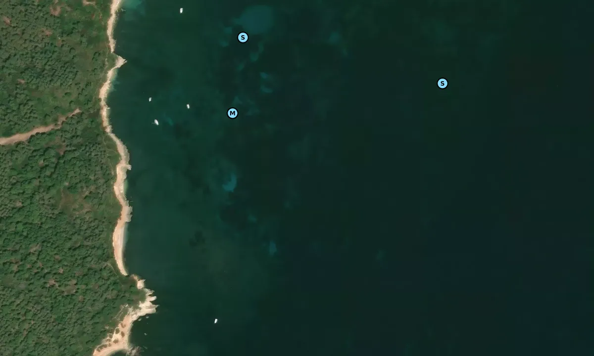 Satelite image of Punta del Gallo Ovest