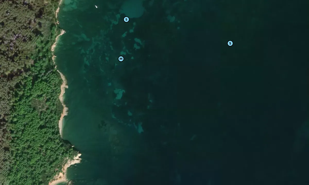 Satelite image of Punta del Gallo Ovest